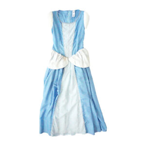 Cinderella Princess Dress