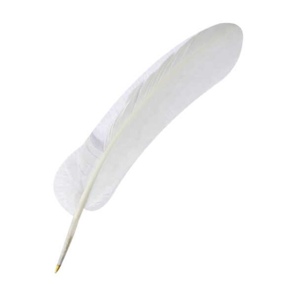 Harry Potter's Quil Pen