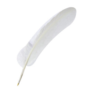 White Zuill