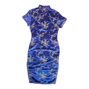 Woman's Chinese Blue and Gold Dress